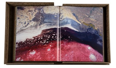 Lot 400 - Michael Poliza (b.1958) German "Eyes Over...