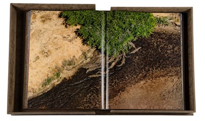 Lot 400 - Michael Poliza (b.1958) German "Eyes Over...