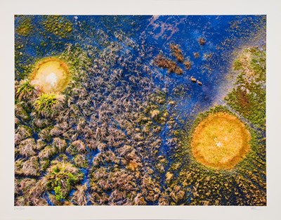 Lot 400 - Michael Poliza (b.1958) German "Eyes Over...