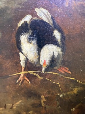 Lot 1079 - G Gaggio after Melchior D'Hondecoeter...