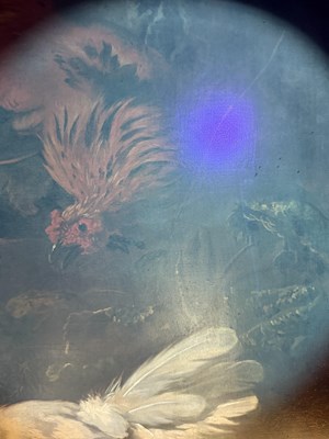 Lot 1079 - G Gaggio after Melchior D'Hondecoeter...