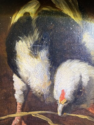 Lot 1079 - G Gaggio after Melchior D'Hondecoeter...