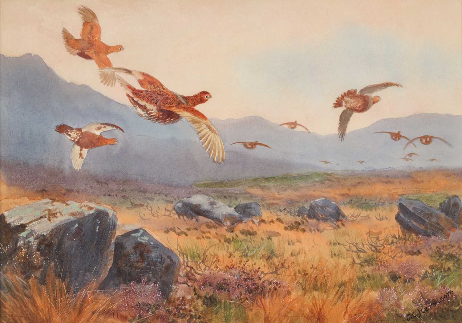Lot 1047 - John Cyril Harrison (1898-1985) Grouse in...