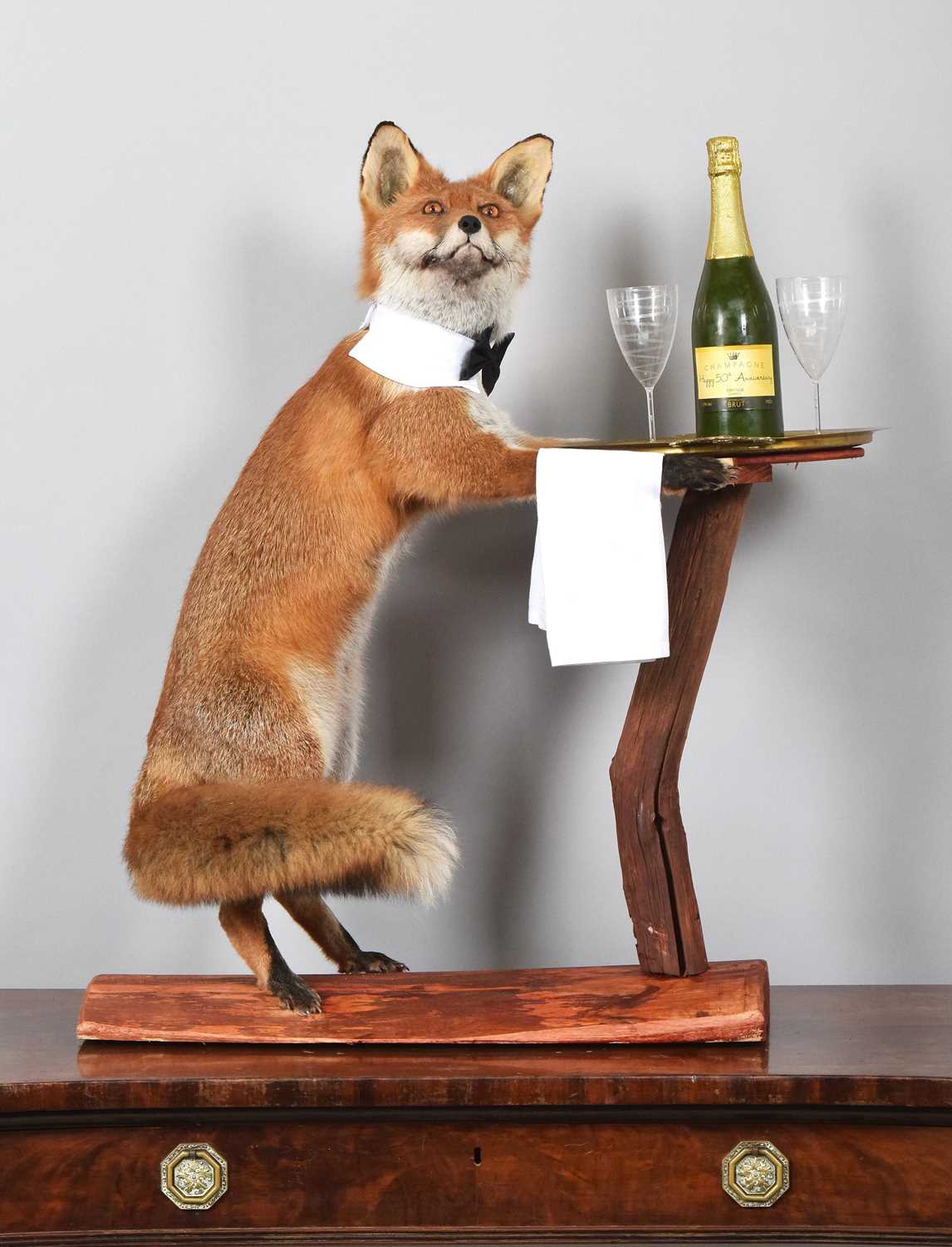 Lot Anthropomorphic Taxidermy: A Red Fox...