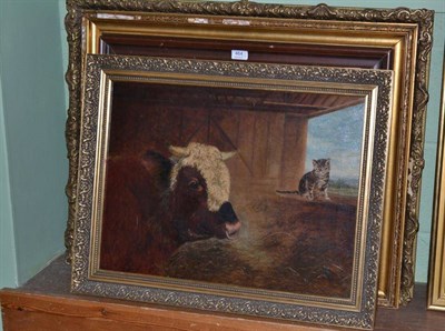 Lot 464 - Oil on canvas depicting two white cats by Heyer and three other oils