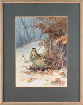 Lot 1050 - John Cyril Harrison (1898-1985) Woodcock in...