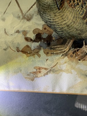 Lot 1050 - John Cyril Harrison (1898-1985) Woodcock in...