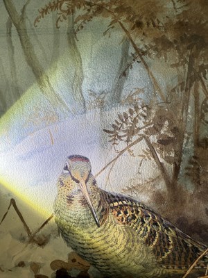 Lot 1050 - John Cyril Harrison (1898-1985) Woodcock in...
