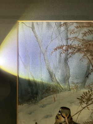 Lot 1050 - John Cyril Harrison (1898-1985) Woodcock in...
