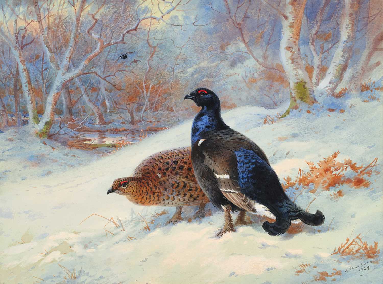 Lot 1051 - Archibald Thorburn FZS (1860-1935) Scottish...