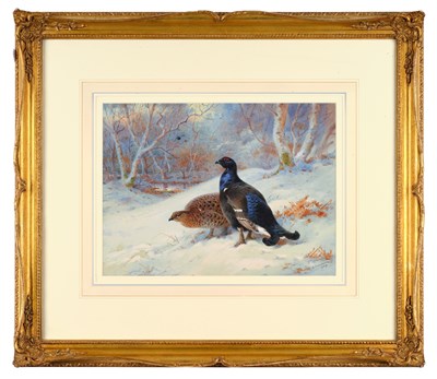 Lot 1051 - Archibald Thorburn FZS (1860-1935) Scottish...