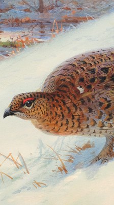 Lot 1051 - Archibald Thorburn FZS (1860-1935) Scottish...