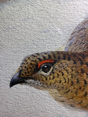 Lot 1051 - Archibald Thorburn FZS (1860-1935) Scottish...