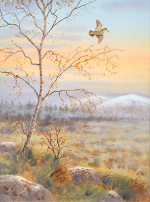 Lot 1046 - Richard Robjent (b.1937) "Grouse over a Burn"...