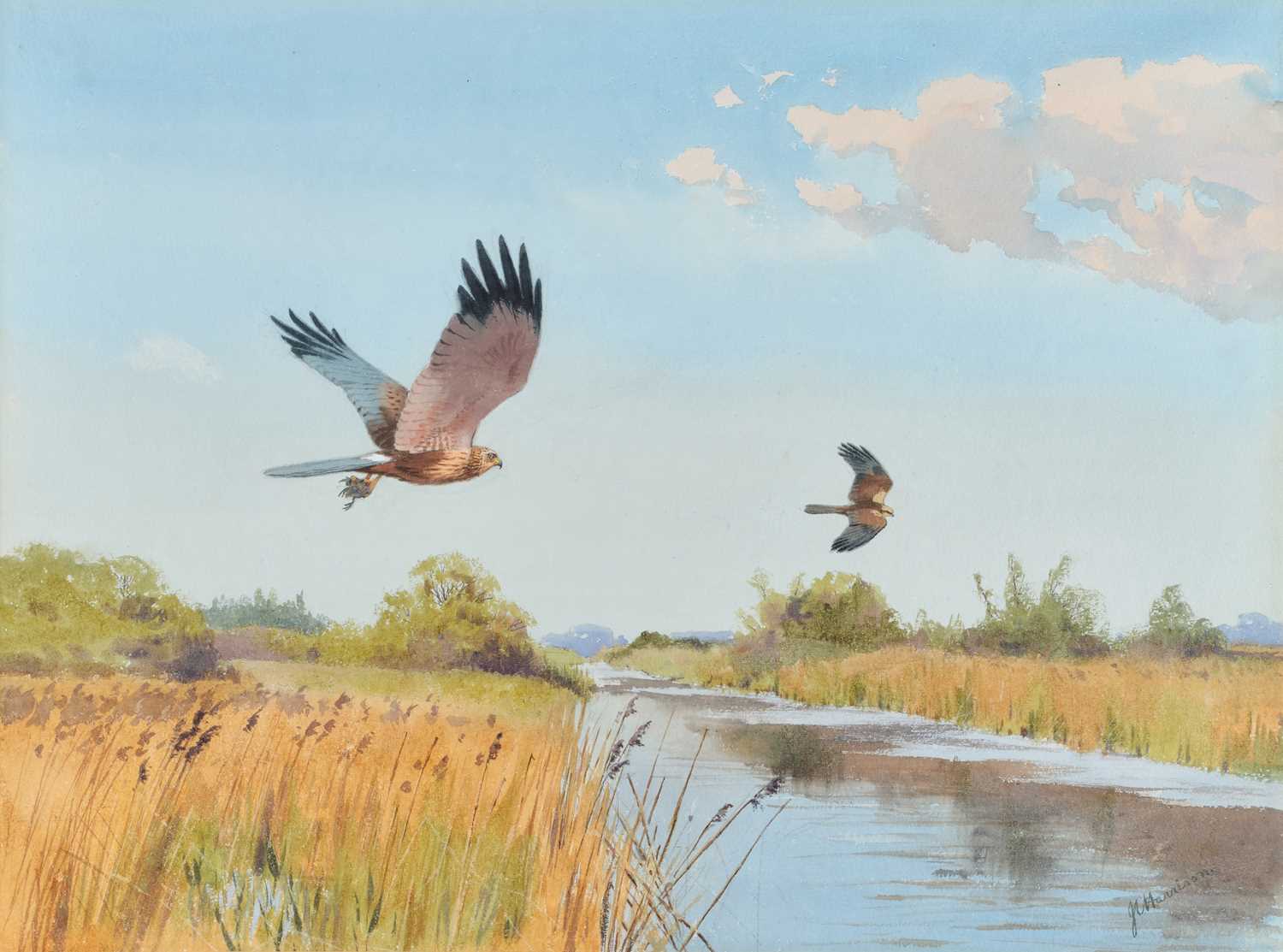 Lot 1045 - John Cyril Harrison (1898-1985) "Marsh...