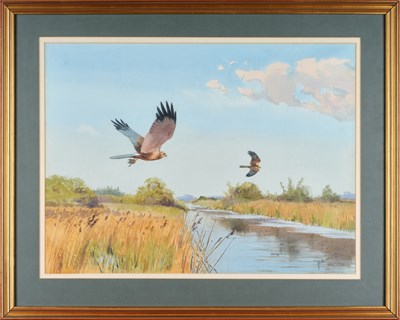 Lot 1045 - John Cyril Harrison (1898-1985) "Marsh...