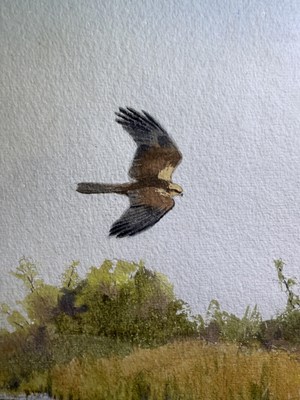 Lot 1045 - John Cyril Harrison (1898-1985) "Marsh...