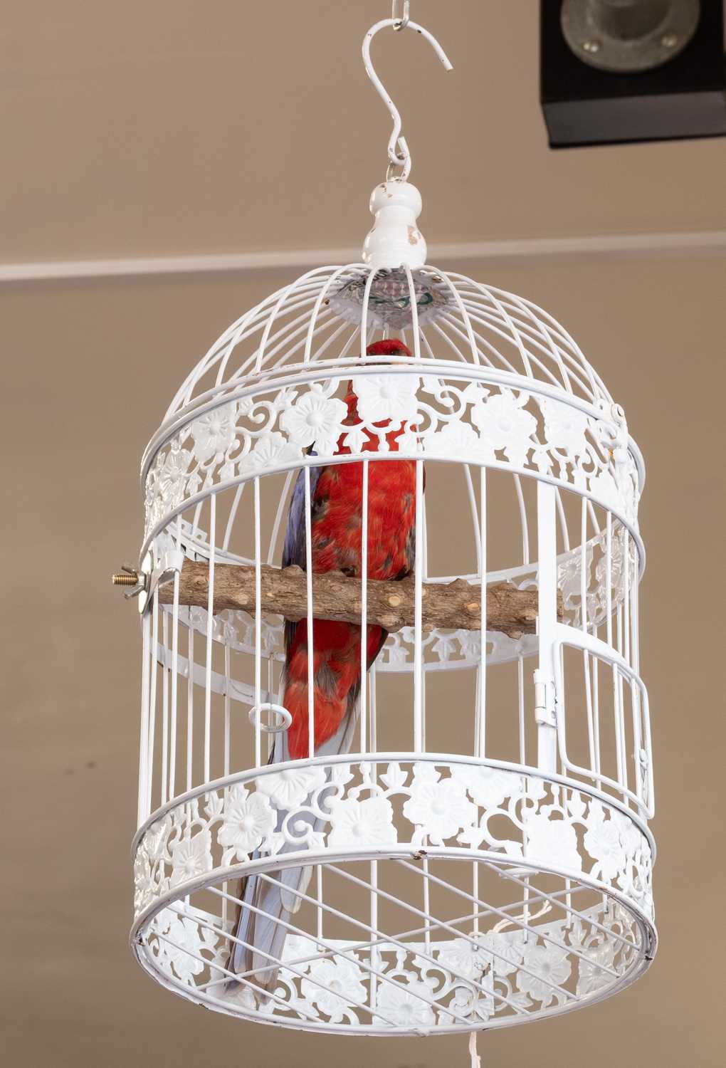 Lot 1189 - Taxidermy: A Crimson Rosella Parrot in a Bird...