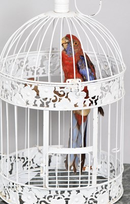 Lot 1122 - Taxidermy: A Crimson Rosella Parrot and Green...