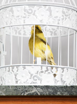 Lot 1122 - Taxidermy: A Crimson Rosella Parrot and Green...