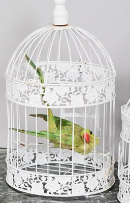 Lot 1122 - Taxidermy: A Crimson Rosella Parrot and Green...