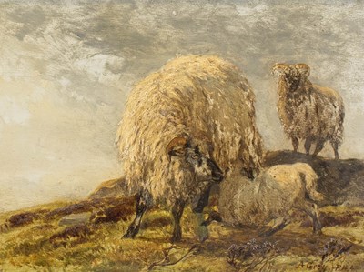 Lot 414 - Alfred Grey RHA (1845-1926) Irish Ewe and lamb...