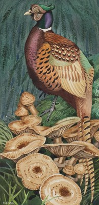 Lot 311 - Noel William Cusa (1909-1990) "Cock Pheasant"...