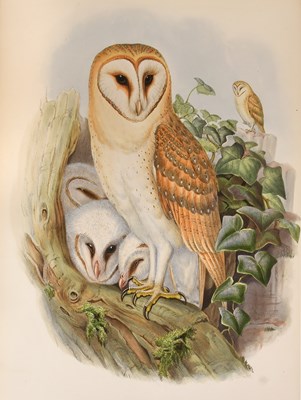 Lot Gould (John). The Birds of Great Britain....