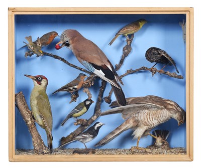 Lot 67 - Taxidermy: A Late Victorian Cased Display of...