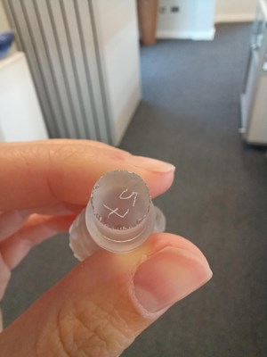 Lot 583 - Julien Viard (French, 1883-1938) for Lubin A...