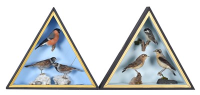 Lot 57 - Taxidermy: A Pair of Triangular Garden...