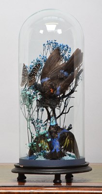 Lot 1097 - Taxidermy: A Late Victorian Red-legged...