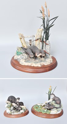 Lot 435 - Border Fine Arts Otter Groups, including...