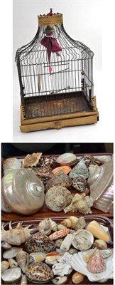 Lot 186 - A bird cage and two trays of shells