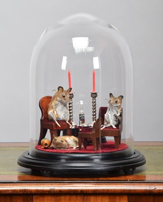 Lot Anthropomorphic Taxidermy: A Whimsical Display...
