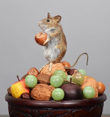 Lot 13 - Taxidermy: A Wood Mouse Under a Glass Dome...