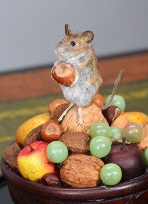 Lot 13 - Taxidermy: A Wood Mouse Under a Glass Dome...