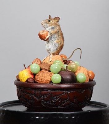 Lot 13 - Taxidermy: A Wood Mouse Under a Glass Dome...