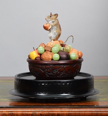 Lot 13 - Taxidermy: A Wood Mouse Under a Glass Dome...