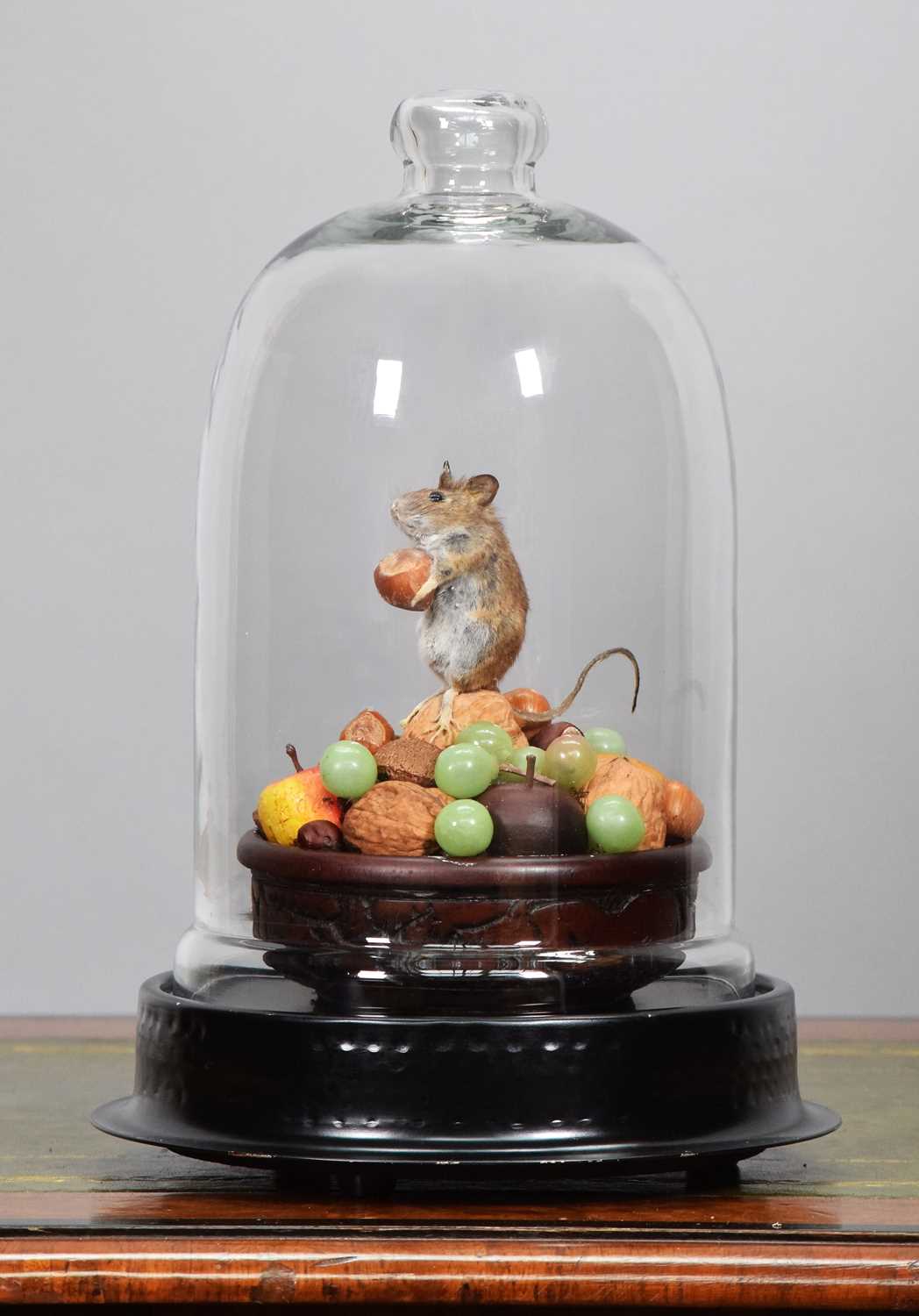 Lot 13 - Taxidermy: A Wood Mouse Under a Glass Dome...