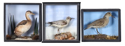 Lot 10 - Taxidermy: A Group of Three Late Victorian...