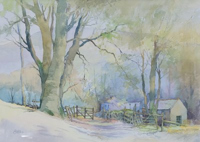 Lot 1073 - Nancy Corkish (1936-2021) "Beech Trees" Signed...