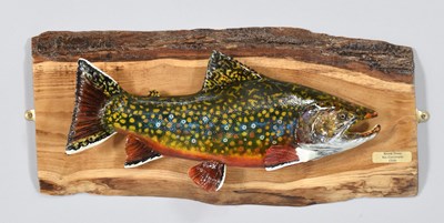 Lot Natural History: Chilean Brook Trout...
