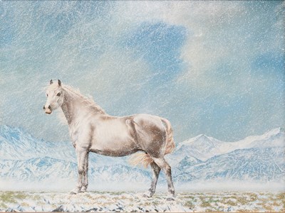 Lot 1139 - British School (Contemporary) White stallion...