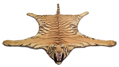 Lot 79 - Taxidermy: Bengal Tiger Skin (Panthera tigris...