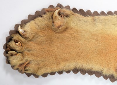 Lot 79 - Taxidermy: Bengal Tiger Skin (Panthera tigris...