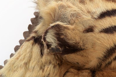 Lot 79 - Taxidermy: Bengal Tiger Skin (Panthera tigris...