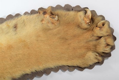 Lot 79 - Taxidermy: Bengal Tiger Skin (Panthera tigris...
