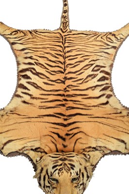 Lot 79 - Taxidermy: Bengal Tiger Skin (Panthera tigris...