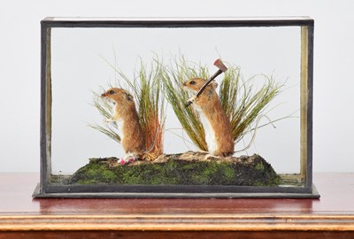 Lot 73 - Taxidermy: A Cased Pair of Wood Mice "Micky...